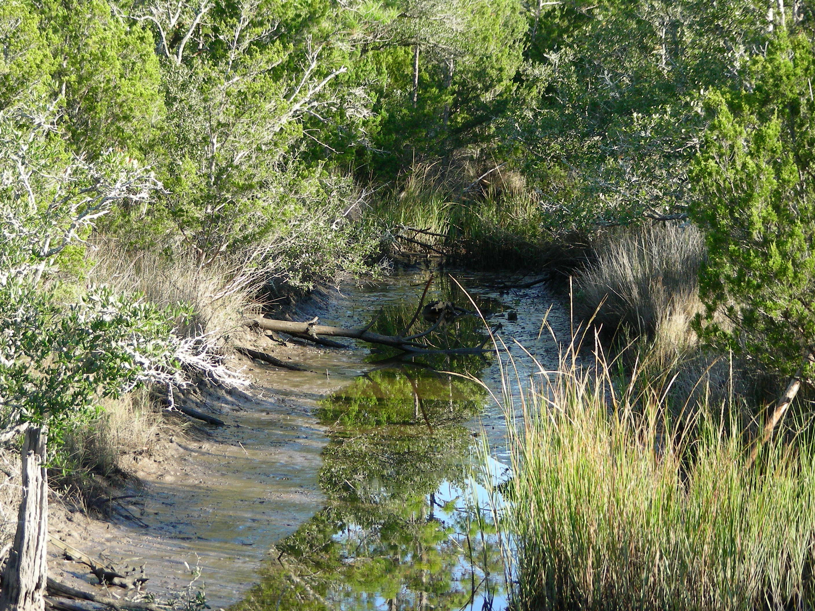 ./2006/Cedar Point/DSCN0380.JPG